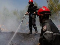 74 incendies maîtrisés à Alger depuis le lancement du plan de lutte