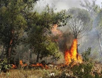 النيران تلتهم رئة المنطقة الجنوبية لولاية سطيف