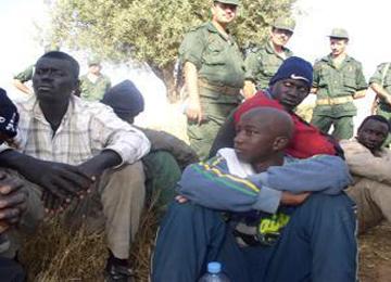 إيقاف 14 مهاجرا غير شرعي في بشار