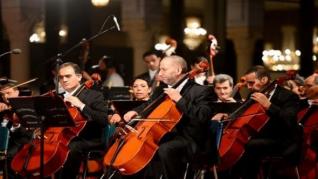 Dialogue intermalien