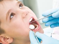 Première du genre à l'échelle nationale