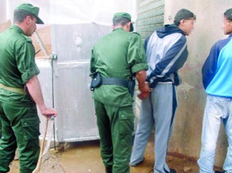 إلقاء القبض على شبكة متخصصة في سرقة المواشي في المسيلة