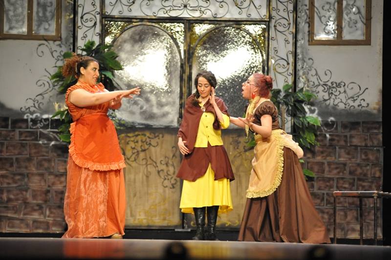 مهرجان المسرح المحترف بالعاصمة