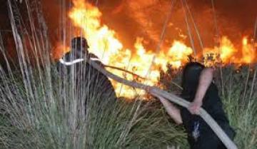 الثروة الغابية تحت وطأة الحرائق بقالمة