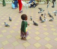 La mendicité pour survivre