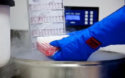 L'Algérie se dote d'une loi pour la protection du patrimoine national