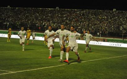 Des Verts vaillants et récompensés