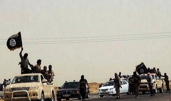 الاستخبارات الأمريكية تكشف عن عدد مقاتلي 