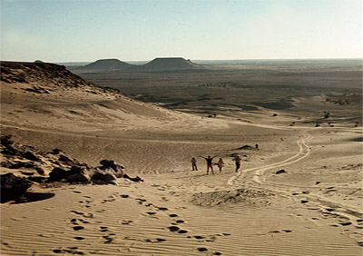 Un riche programme pour la prochaine saison