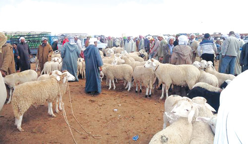 سيدي بلعباس