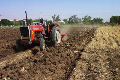 بينما تستعد معسكر لزراعة 143 ألف هكتار من الحبوب هذا الخريف