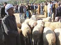 La fédération des consommateurs parle de dysfonctionnements