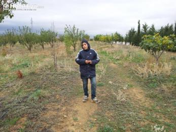 فلاحون منكوبون يحتجزون موظفي المصالح الفلاحية بخنشلة ساعات