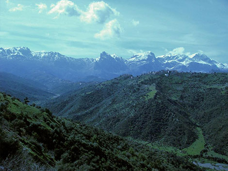 اختطاف رعية فرنسي بين ولايتي تيزي وزو والبويرة