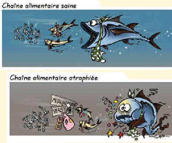 Algérie- La pollution industrielle menace de disparition 11 espèces de poissons parmi les plus consommés