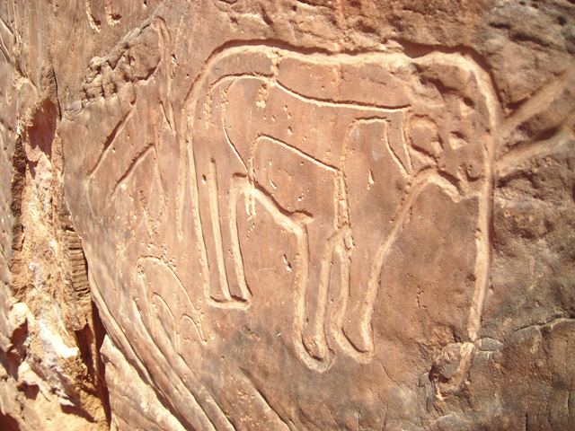 تيوت أول محطة للصخور المنقوشة على مستوى العالم