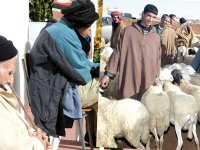 Elan de solidarité envers les personnes âgées