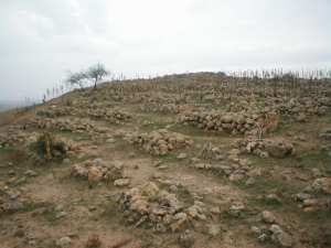 Article ruines romaines à boukadir