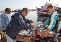 Le ministre fixe cinq ans pour doubler la production