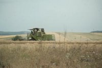 L'OAIC s'élargit au développement de la céréaliculture