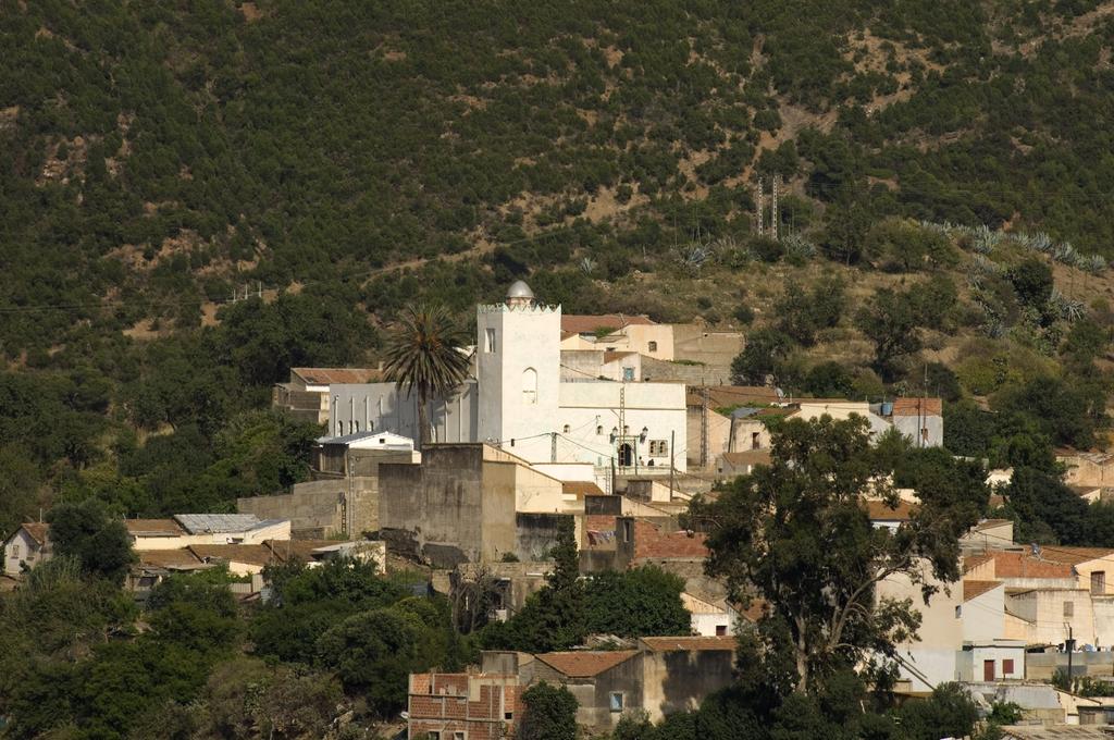 Article Mosquée du vieux Ténes