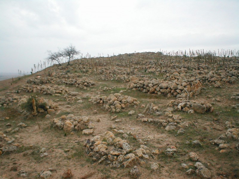 Article ruines romaines à boukadir