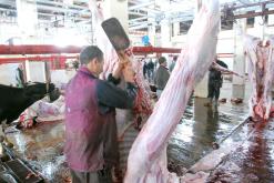 7 مذابح جماعية بالعاصمة تهدد بانتشار فيروسات خطيرة بالأضاحي