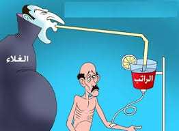 سعر كبش العيد في الشلف يعادل 5 براميل نفط!