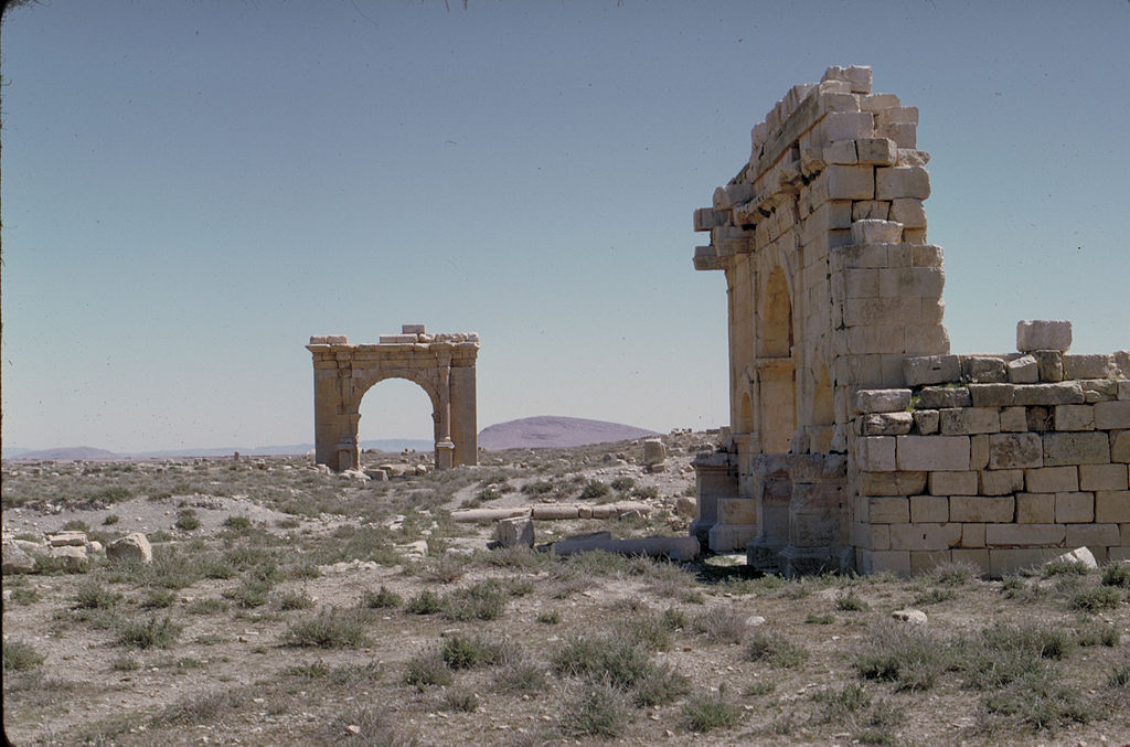 Les ruines de la cité de Diana Veteranorum en Numidie