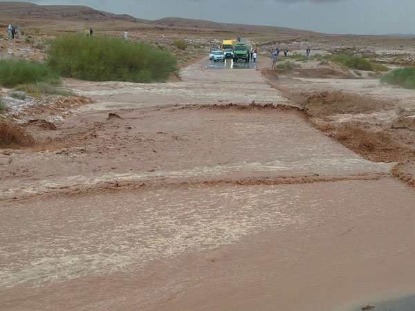 ‎برقيات البيض