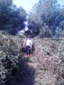 Le Cadastre  II   III