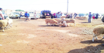 LE PRIX DU MOUTON FLAMBE