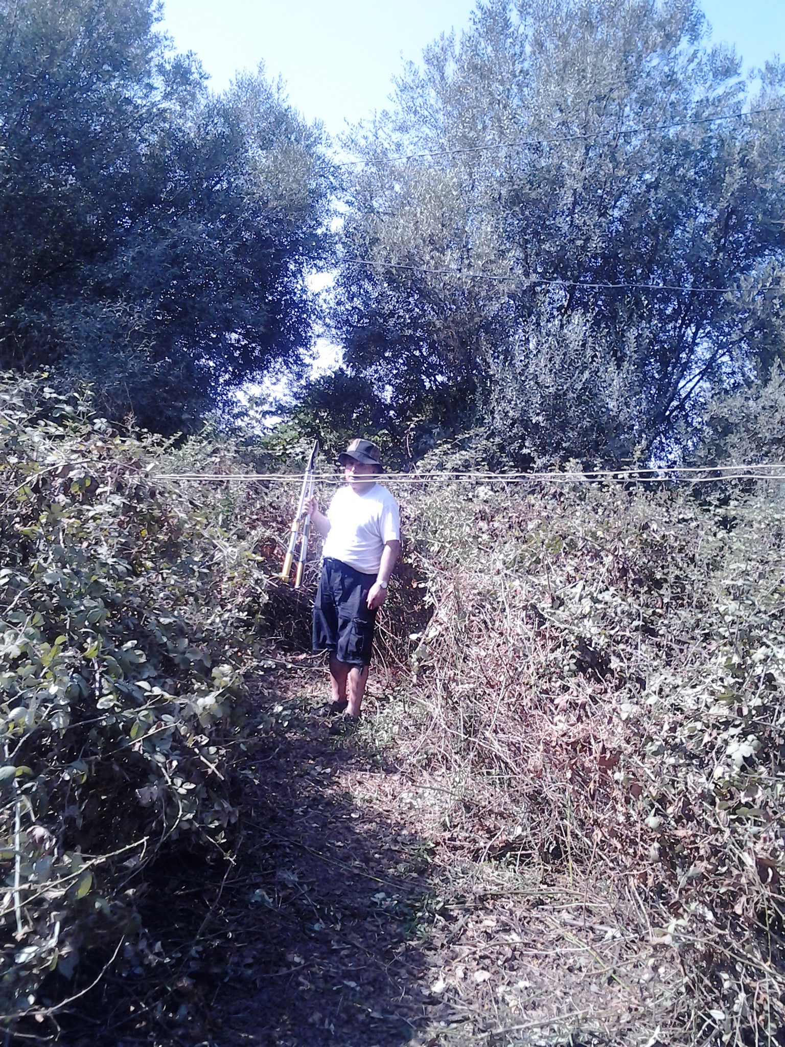 Le Cadastre  II   III