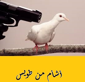 أشأم من طويس