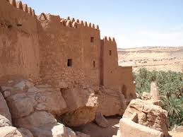 Le vieux ksar de Taghit, en grand danger, attend sa restauration