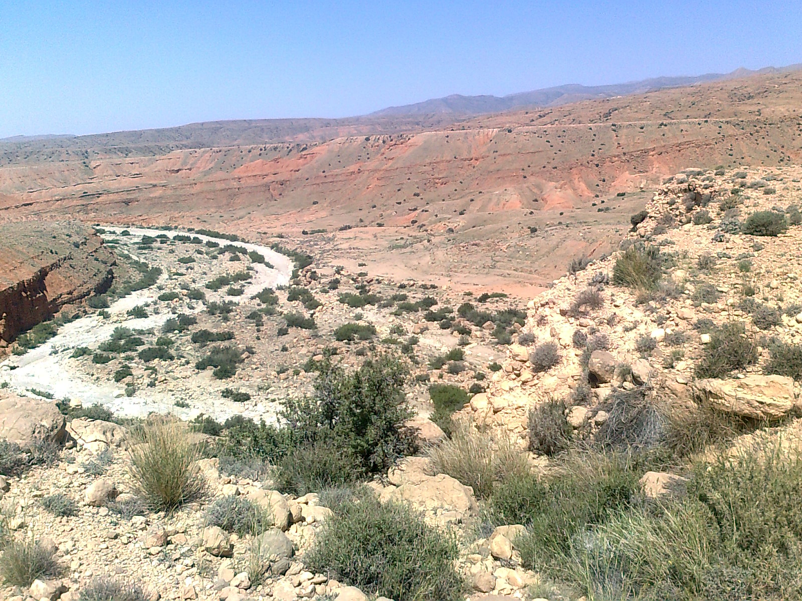 Régions Est Biskra    Baisse du niveau des forages à Meziraâ (Biskra) Les agriculteurs réclament la réalisation d’un barrage