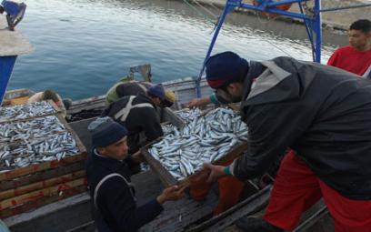 Doubler la production halieutique d'ici cinq années