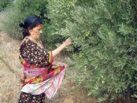 Voyage dans le passé