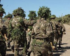 القضاء على 3 إرهابيين بالأخضرية وآخر بتيارت