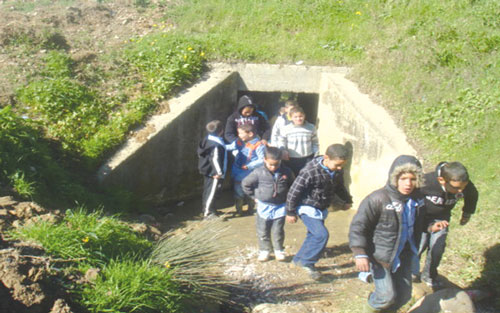 سيدي بلعباس