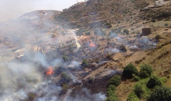 حريق يأتي على 3 هكتارات من الغطاء النباتي في برج بوعريريج