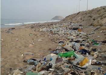 Les fléaux qui pourrissent l'été des Algériens