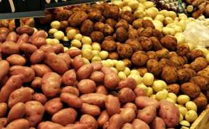 رياح عاتية تكبد فلاحي‮ ‬الوادي‮ ‬خسائر فادحة في‮ ‬محصول البطاطا‮ ‬