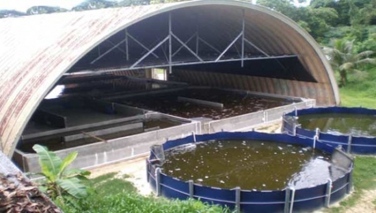 أبواب مفتوحة على تربية المائيات والصيد القاري بسطيف