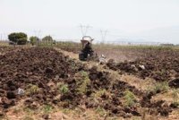 Un objectif d'emblavement céréalier de près de 6000 hectares