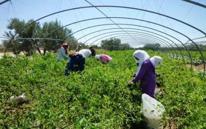 «Beaucoup d'exemples de réussite, mais des entraves subsistent»