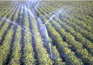 معسكر تتدعم بمعهد وطني متخصص في التقنيات الفلاحية الأول من نوعه بالوطن