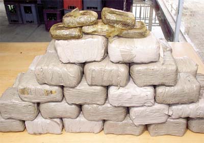 Un réseau transnational de narcotrafic tombe à Tlemcen