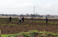 رفض 635 ملف من أصل 4000 لمنح عقود الامتياز بالعاصمة