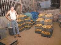 ELLE EST CEDEE ENTRE 90 ET 100 DA LE KILO